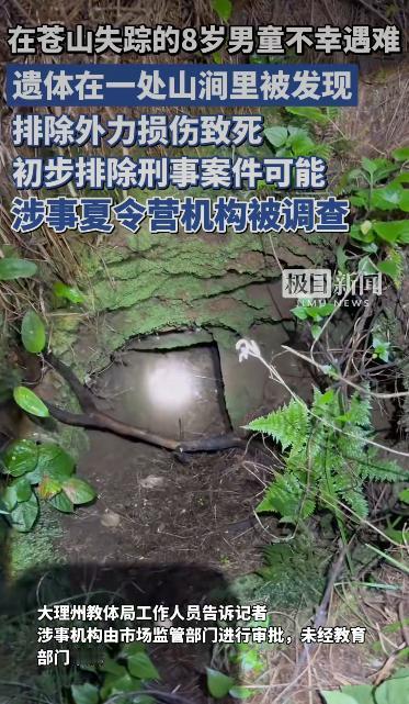 云南大理苍山脚下，一场持续数月的风波牵动着无数人的心。8岁自闭症男孩一凯的父母，