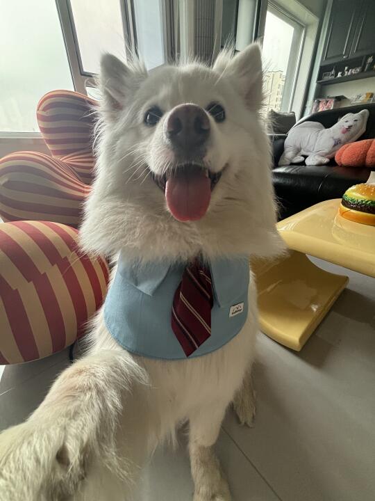 人 泥嚎！给ee们发张自拍🤳