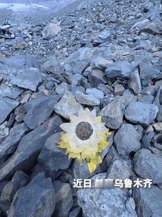 “上人民日报了！”新疆，男子爬天山，在爬到海拔大约3000米的位置停下休息，没想