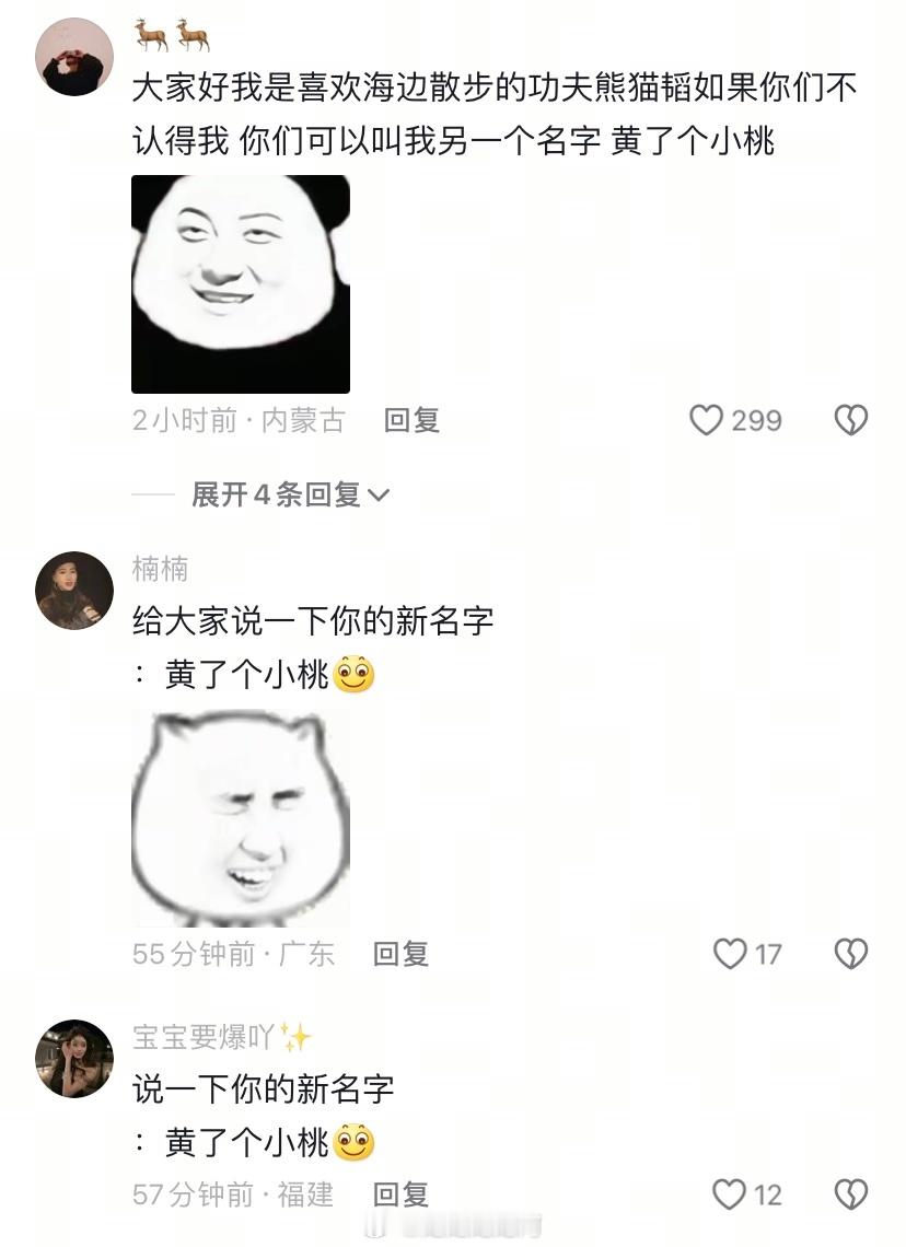 黄子韬[超话]  黄子韬绝色品牌代言人  黄了个小桃，大家对你的新名字适应的还挺