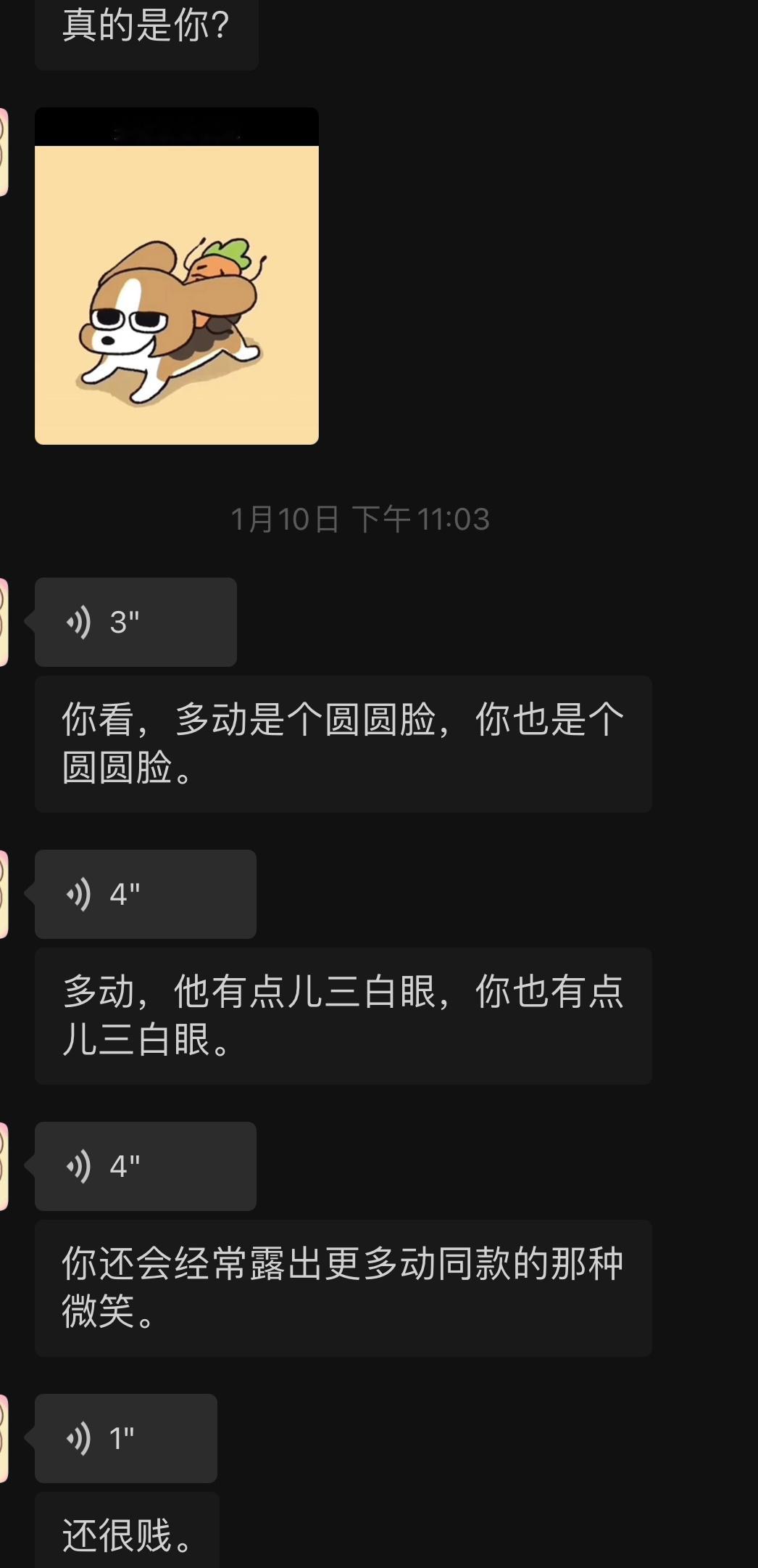 别人被说像狗：杜宾金毛萨摩耶我被朋友说像狗：比格感觉不怎么帅 ​​​