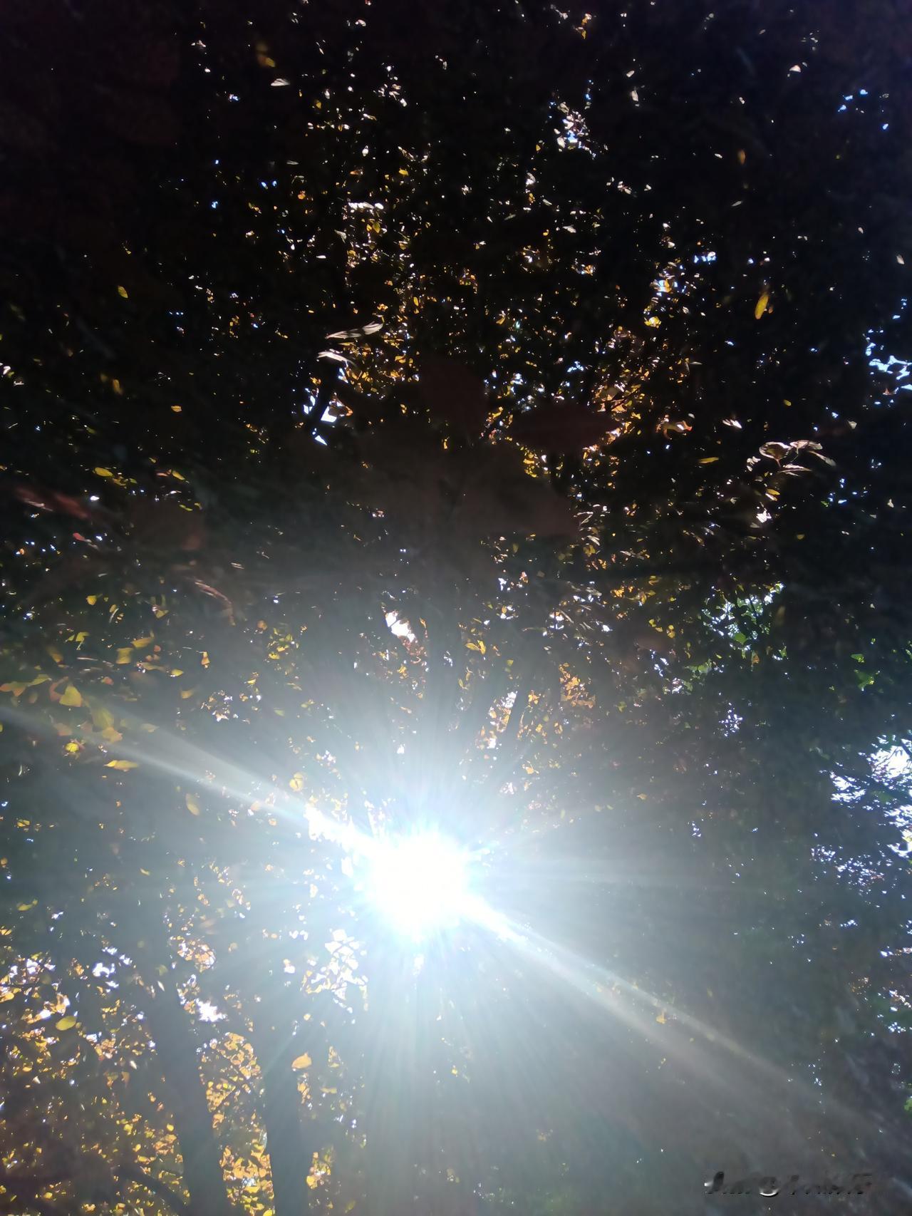 炒股要定一个“小目标”！

炒股目标不要太大，大了不好实现。反而会适得其反！
