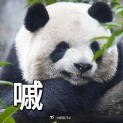 #反复感冒一定要改掉这些习惯#一定要改掉反复感冒的习惯，反正都要避开受风、受寒，