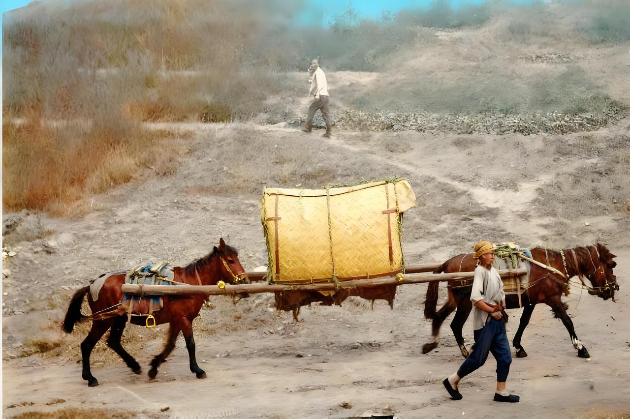 清末民初的郊野土路上，两头棕黑色的骡马牵引着一架驮轿缓缓前行。驮轿的轿身以竹木为