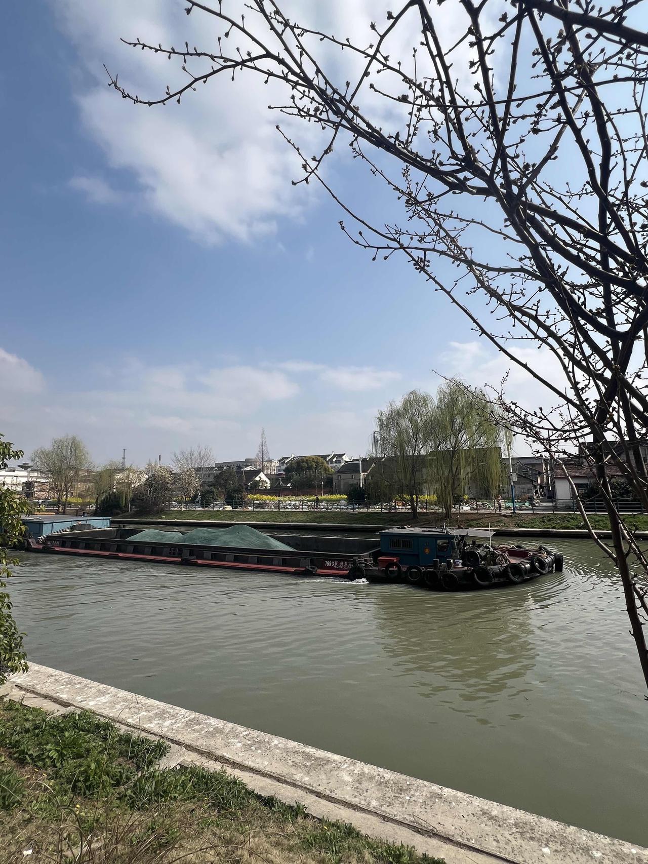 春暖花开，正是踏青好时节。
去了罗店的宝山寺游玩，这座新建的寺院是一座严格遵循古