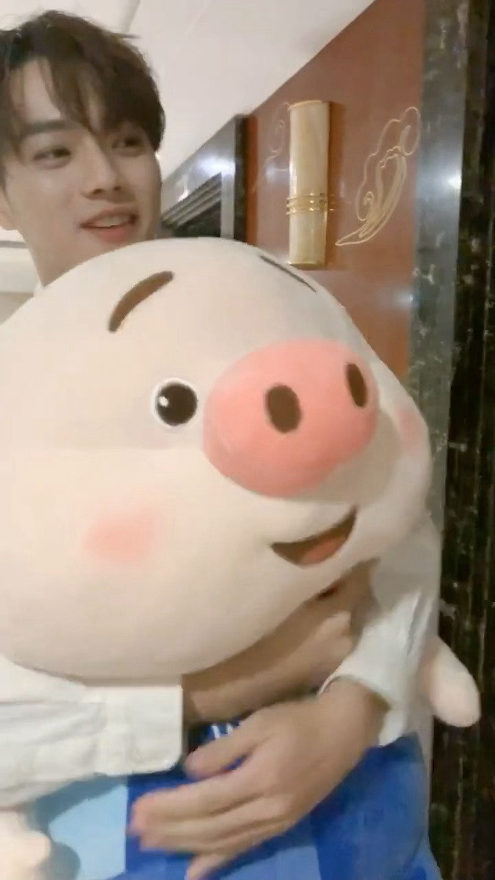 还是这么萌🐷🦈 ​​​