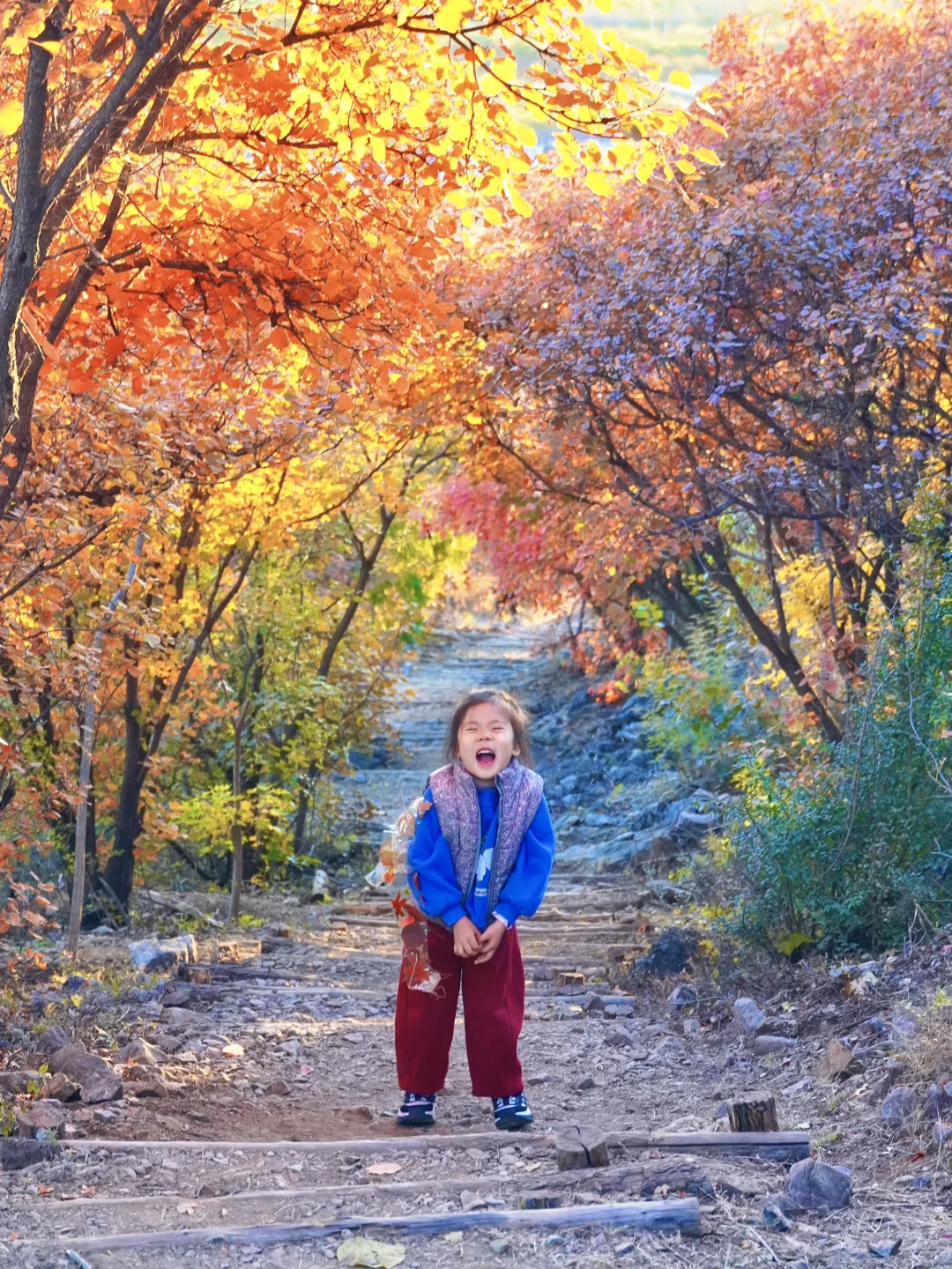 别错过北京深秋的舞彩浅山⛰️附小众路线❗️