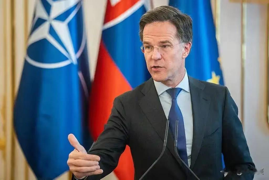 荷兰那边最终还是顶不住了，其经济大臣卡雷曼斯连夜打电话给中方负责人，希望能妥善解