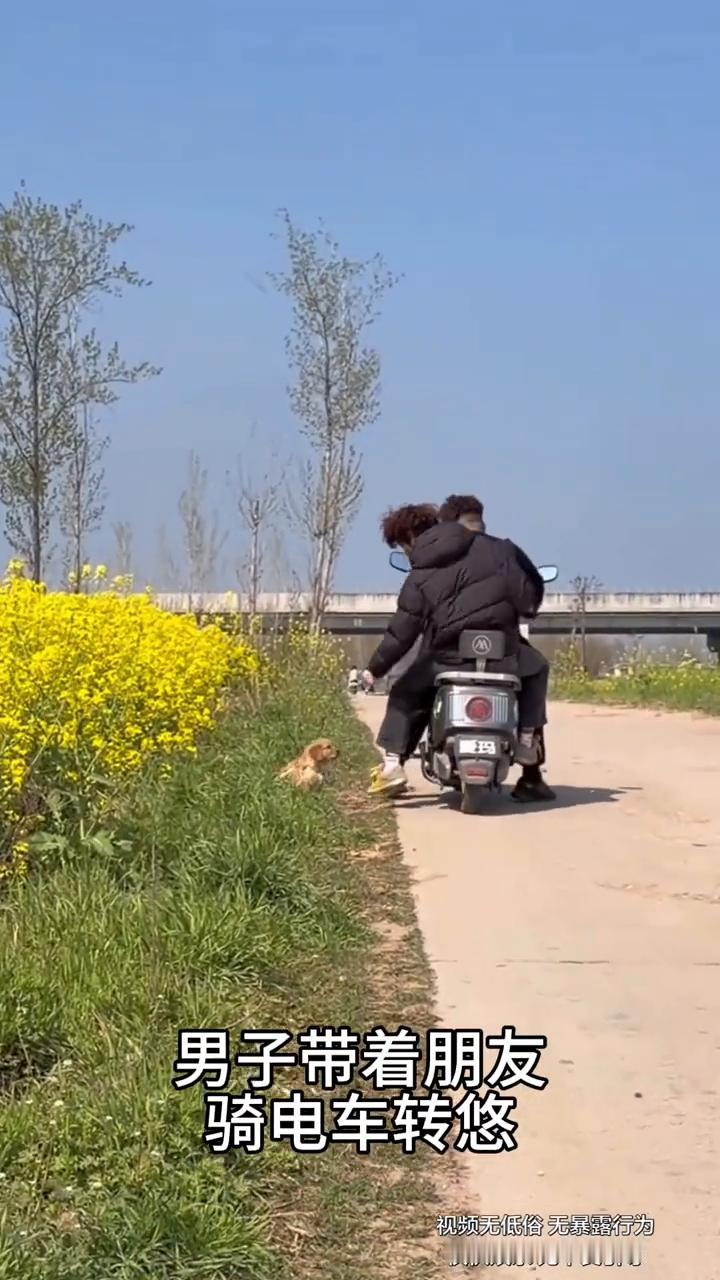 男子带着朋友骑电车转悠，这时他们看到路边的狗狗，于是他们准备带回家收养。谁知主人