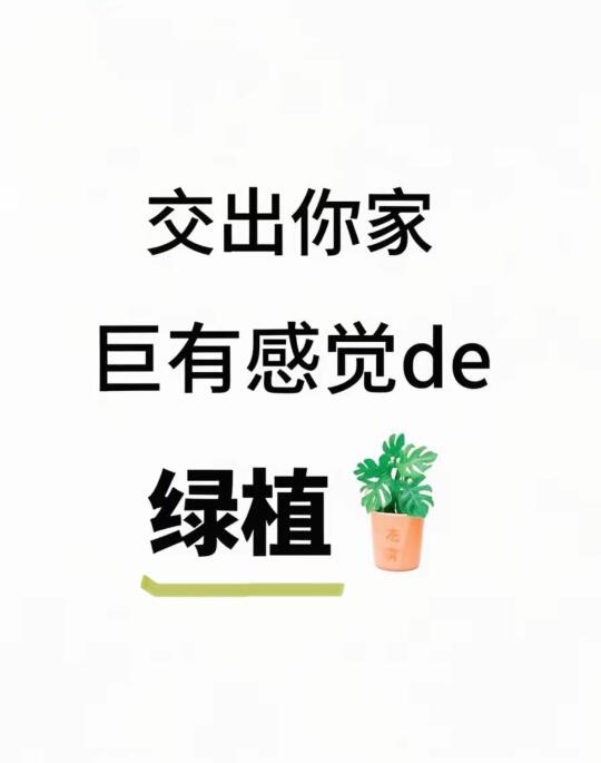 不许藏着！交出你家巨有感觉的绿植，我爱看