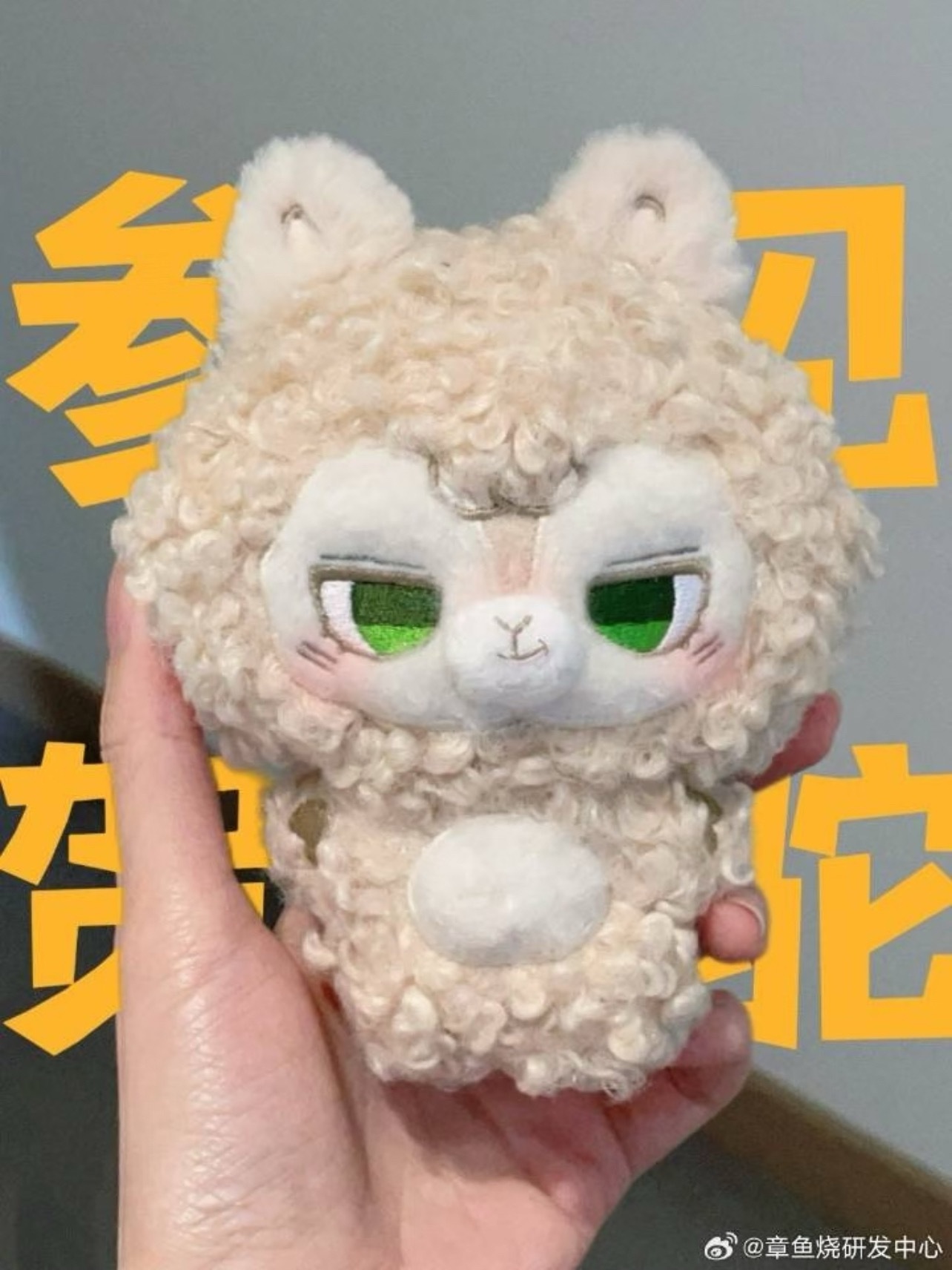 满分豆豆环欧行了一圈之后还是白白嫩嫩的，没有变成碳烤驼！ 