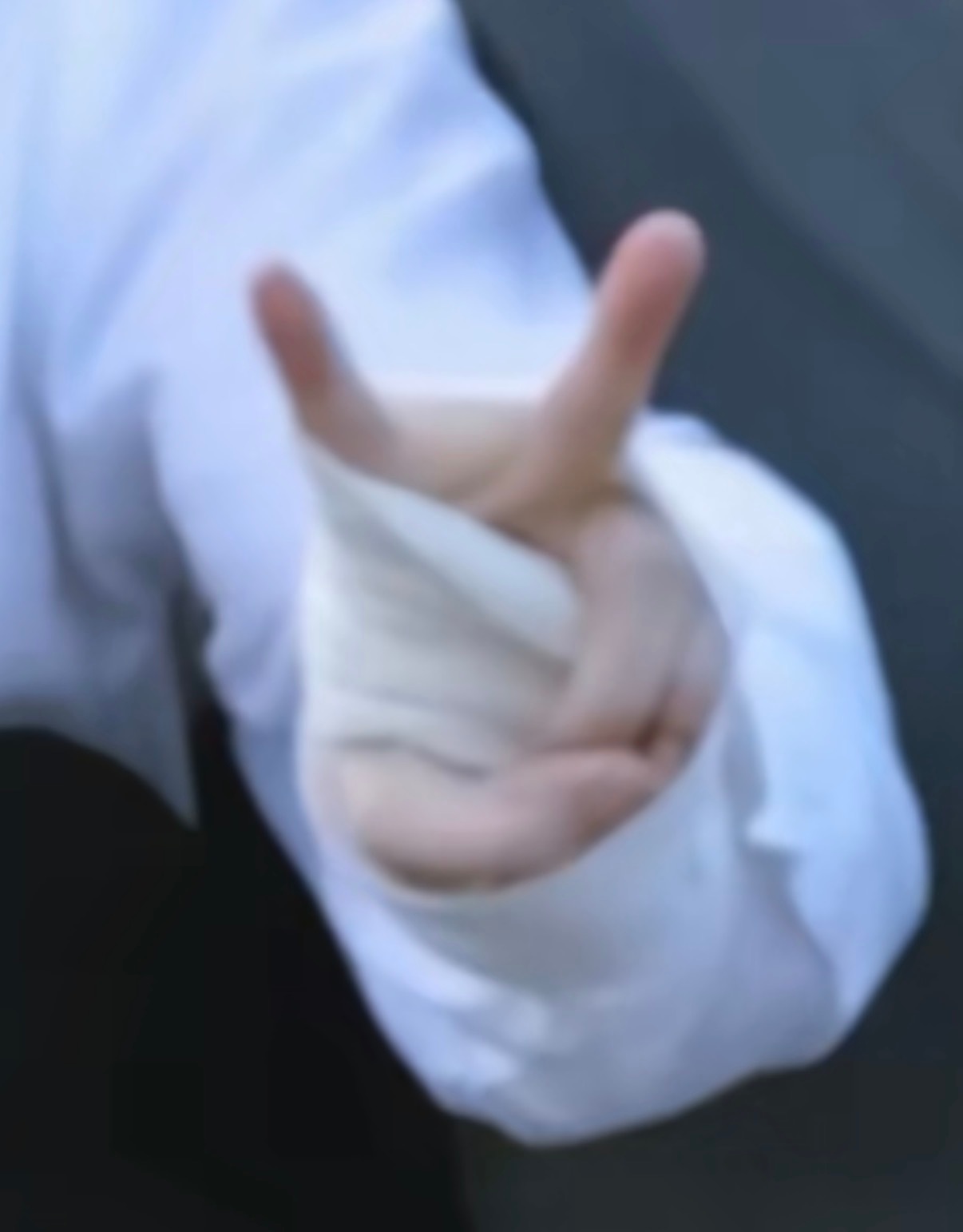 香香软软的兔兔 