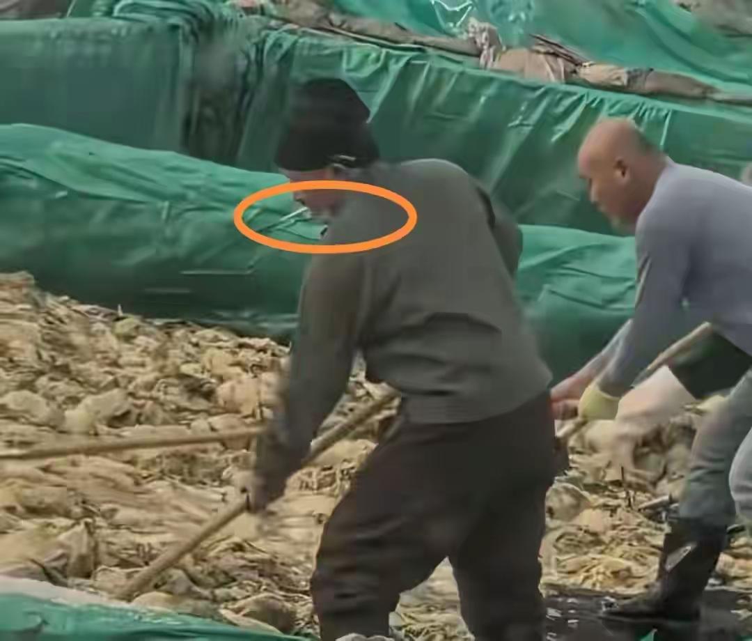 太恶心了，一人干翻一个行业，吃的还真是老“痰”酸菜。

在网上刷到了一个50多岁