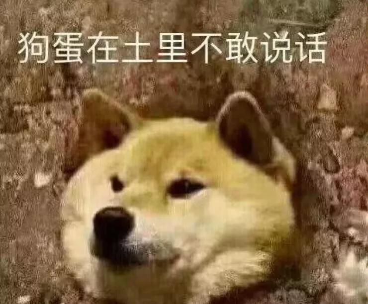码农老公……
快下班的时候同事聊天聊到IT男，一个男同事语出惊人，他说和IT男在