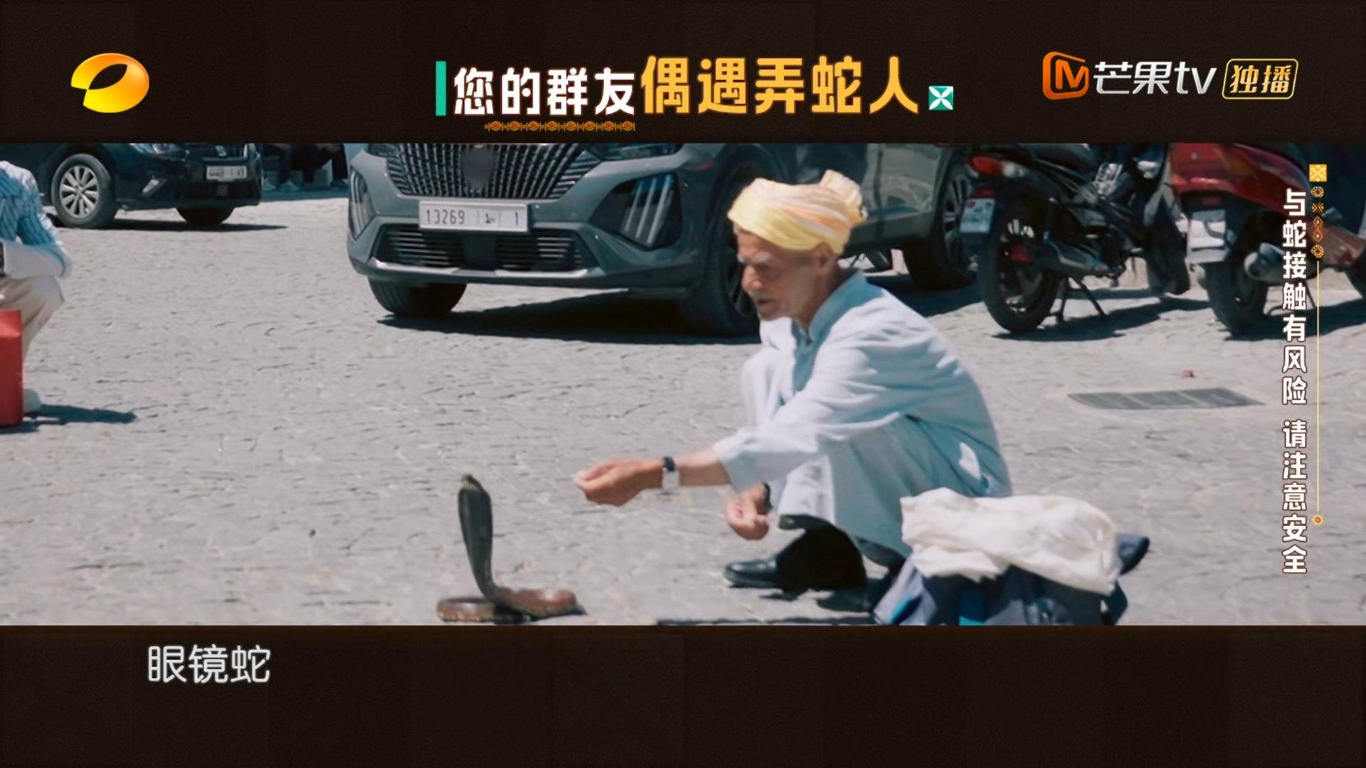 翟潇闻被蛇扼住了喉咙 谁能拒绝翟潇闻在《中餐厅 9》被蛇吓得瑟瑟发抖，却还要强装