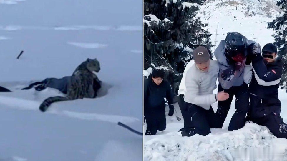 最好最好哇 就是离野生动物远一点儿......凤凰新闻【新华社谈游客被雪豹咬伤：