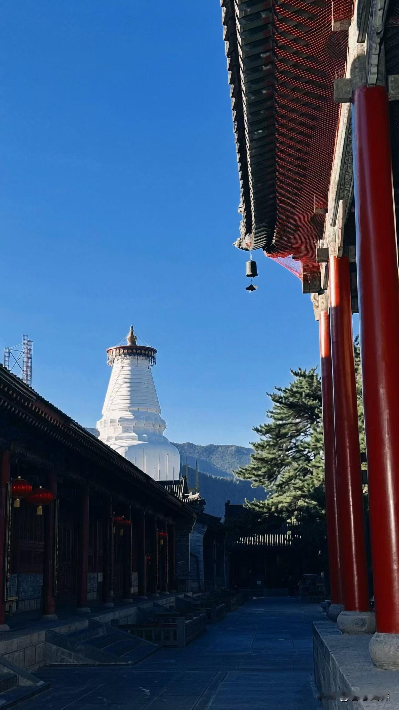 日常补剂分享?
1. 各类补剂有自身吸收特点，服用时间错误，会降低吸收率，甚至引