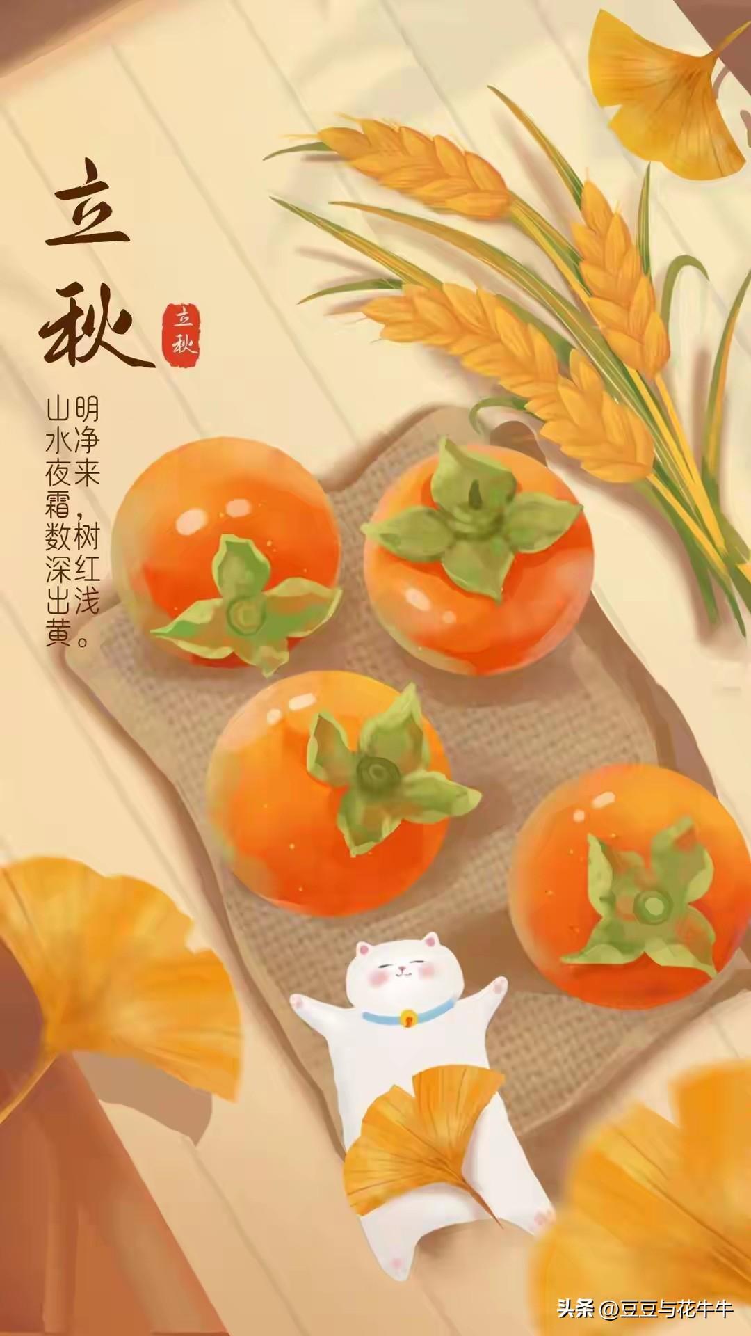 今日立秋，一早起来天气还是非常闷热，我们天津市的习俗是立秋要吃饺子，要吃西瓜，俗