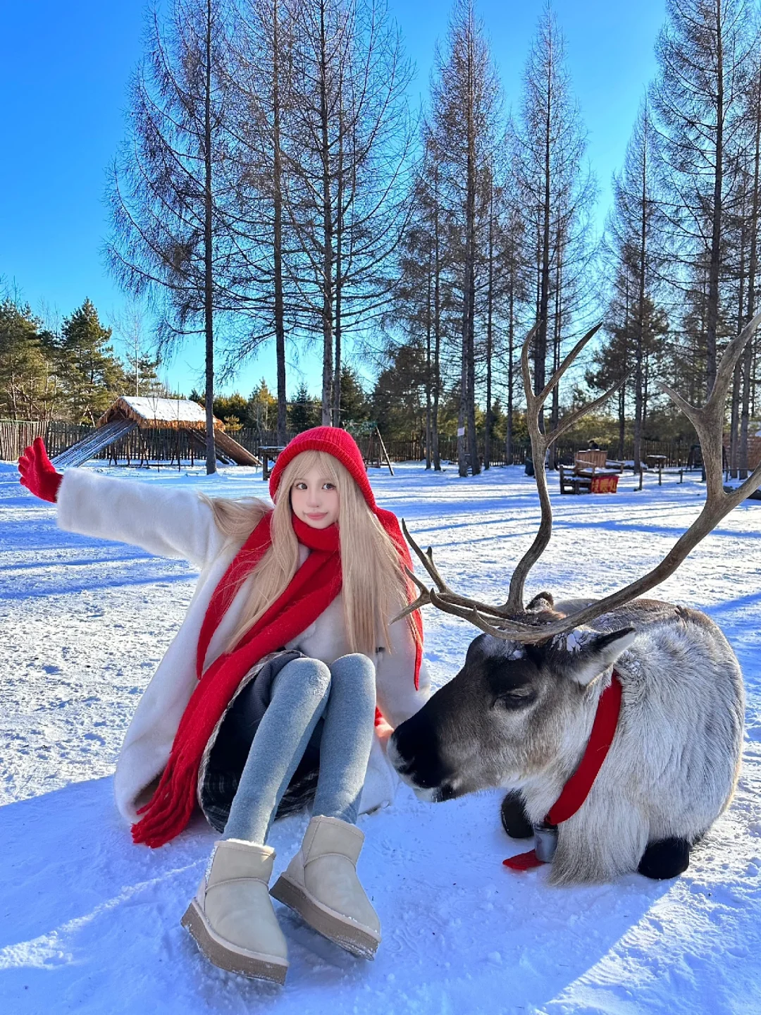 不在芬兰在长白山❄️雪绒花驯鹿园喂小鹿啦🦌