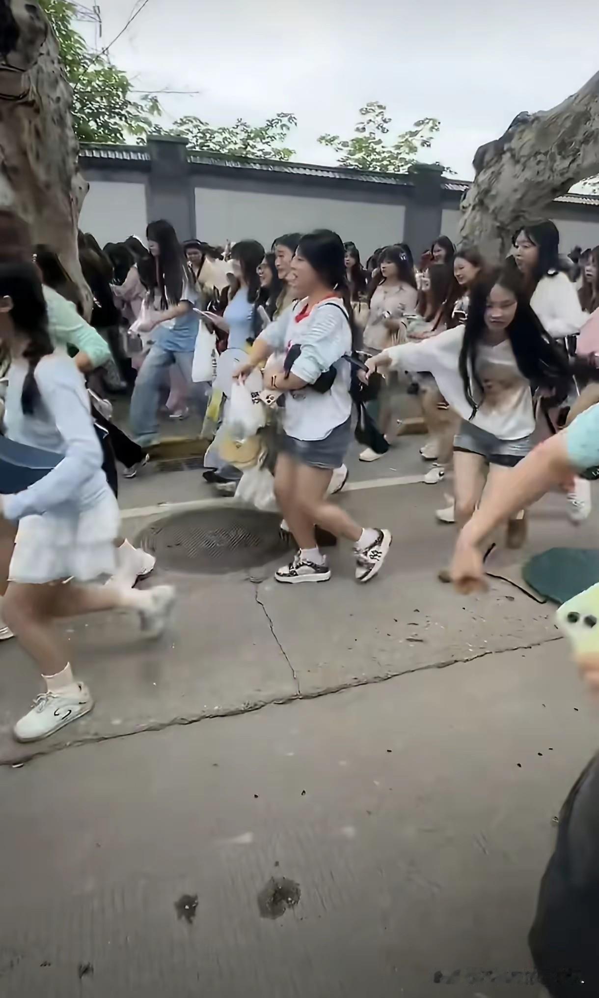 不知你是否留意到，追星现场、粉丝见面会，乃至网上的追星大粉，放眼皆是女性身影。更