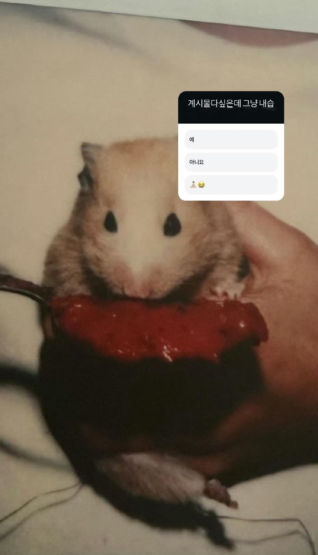 怎么看 ​​​