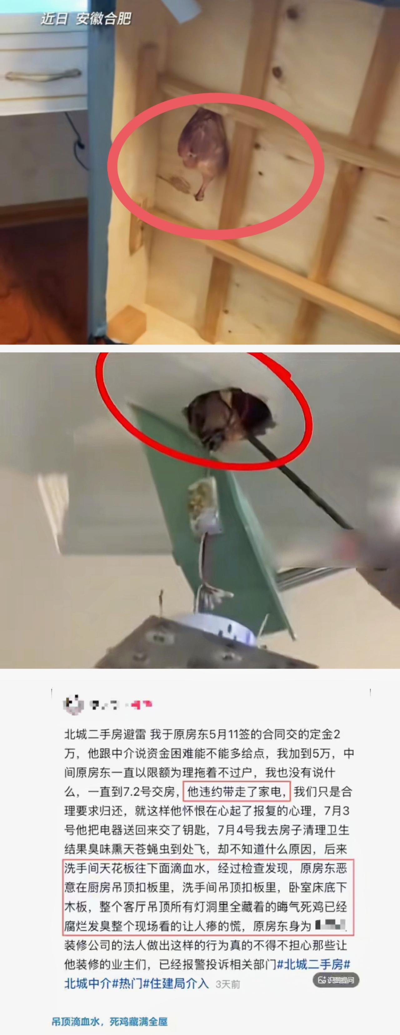 这一次，合肥这位二手房房东，早已不是简单的交易矛盾，行为恶劣程度简直突破底线，完
