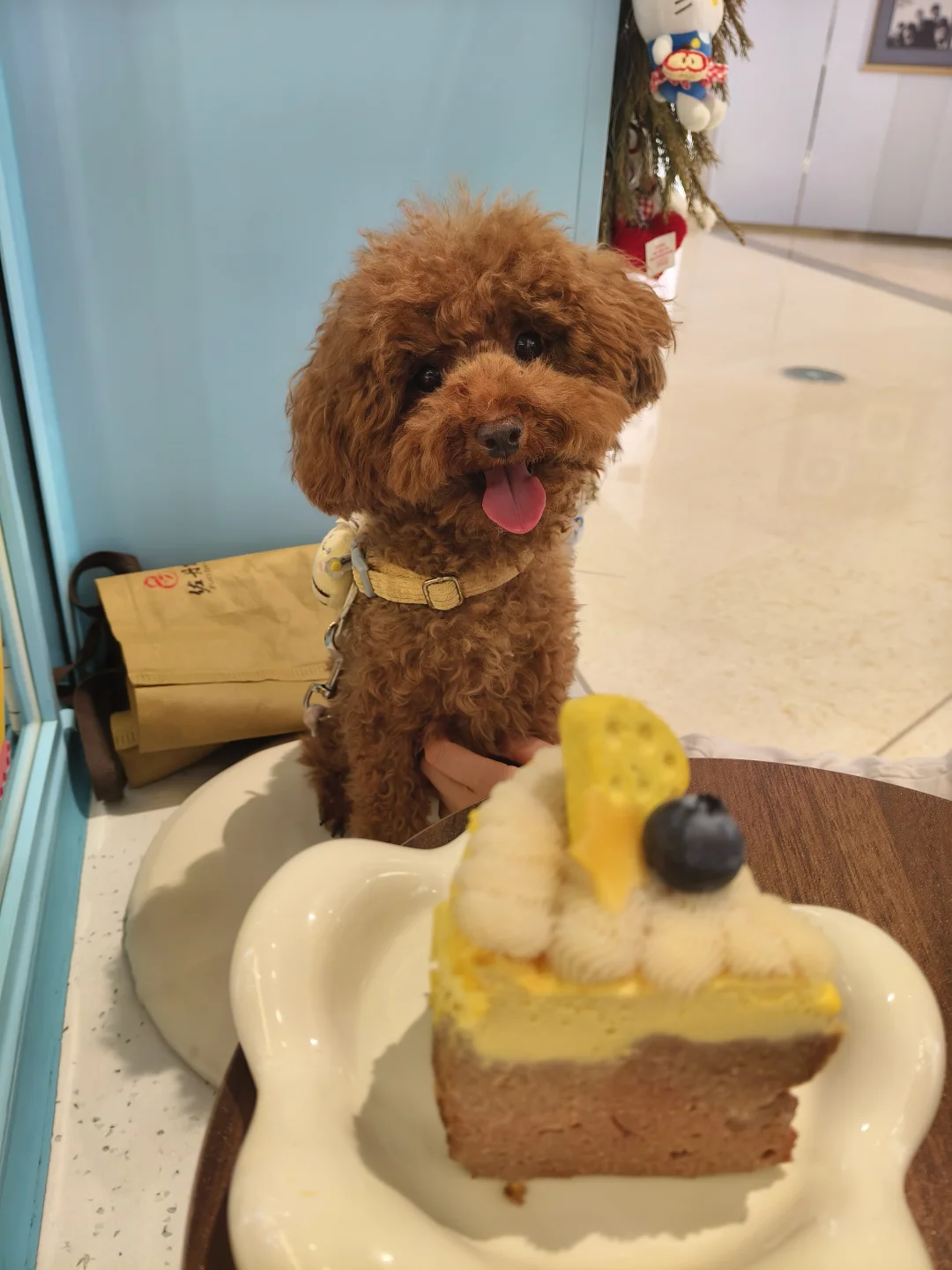 小狗蛋糕