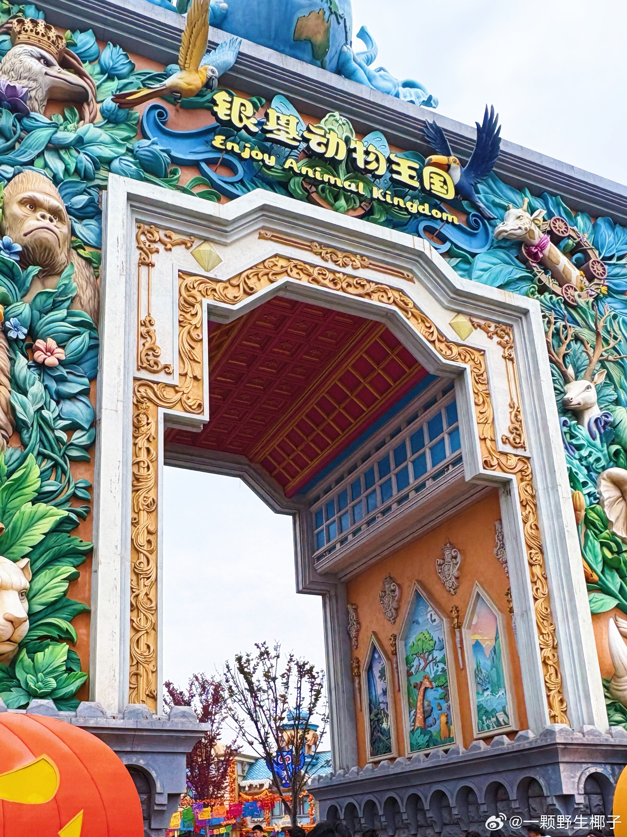 开心的一天~🐾🐾🐾  ​​​