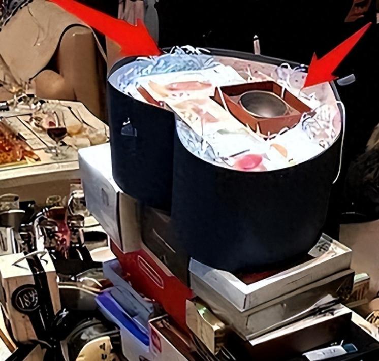 奢靡的白马会所：验资2000万才进，富婆砸钱买陪伴，结局大快人心
-
先从结果说