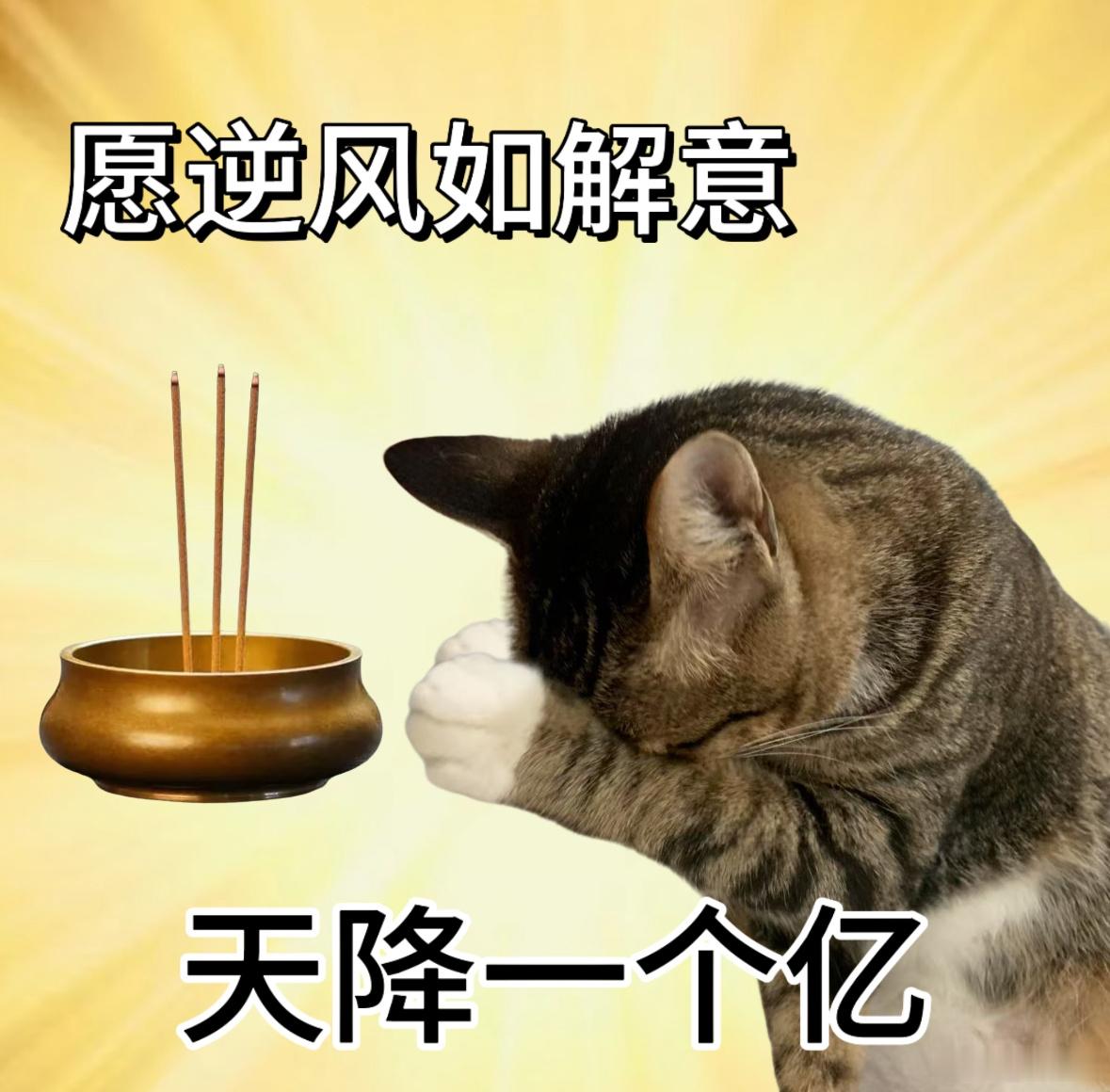 南方居然说要吊打北方[苦涩][苦涩]富婆女神你在哪张泽禹05后第一歌手 ​​​