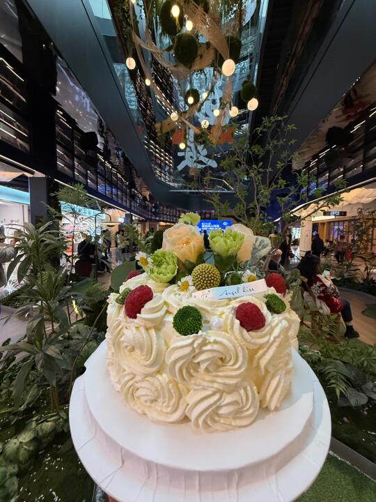 送给好朋友的生日蛋糕，被夸了一周！！！