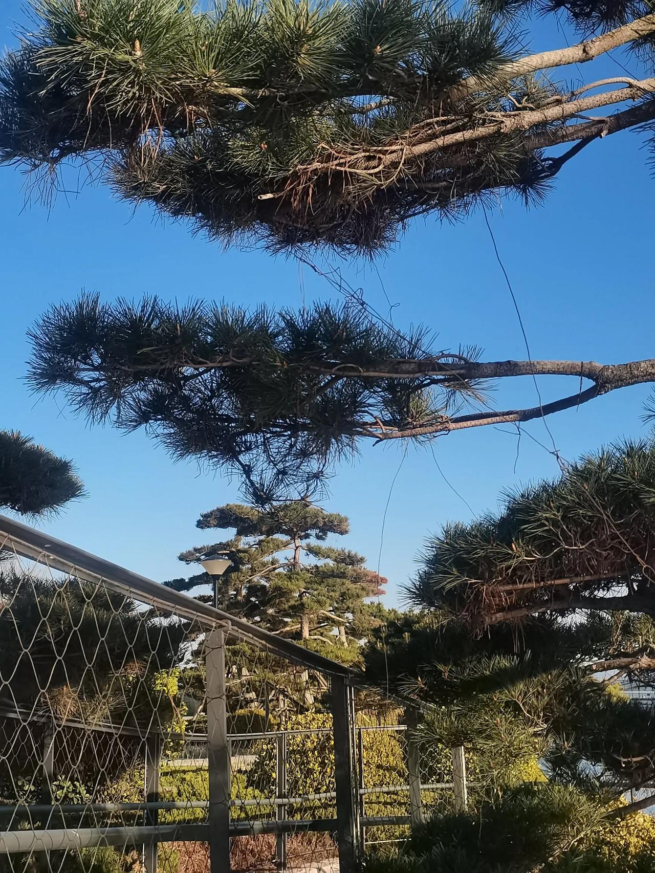 此刻心情，写自己的情绪日记。
女人的世界真小，每天让情绪上头的事儿，不是老公就是