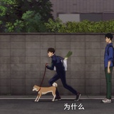 暖猫猫玩玩体育