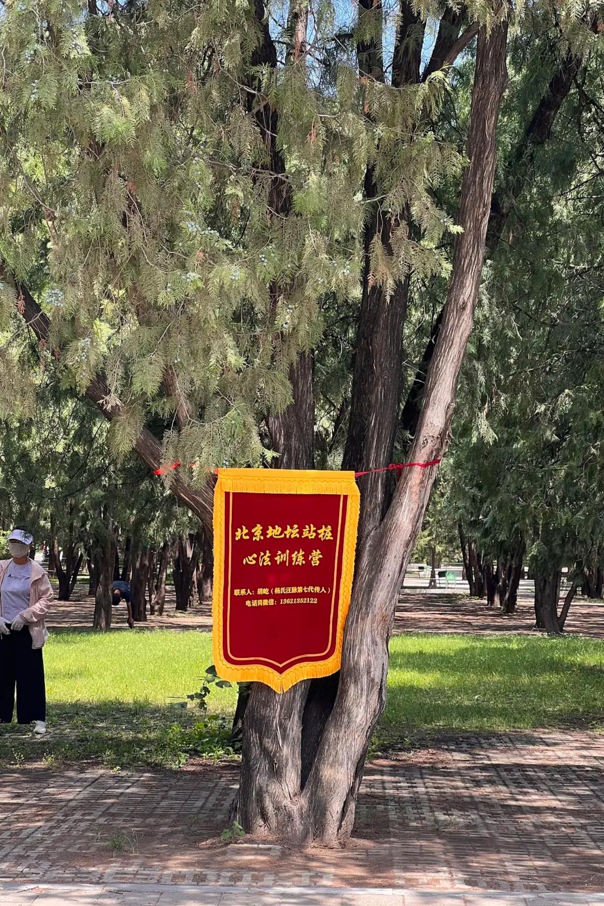 站桩这东西真有用吗？这种一般收费的，还不低，自己上网找个视频学学得了。站桩～心法