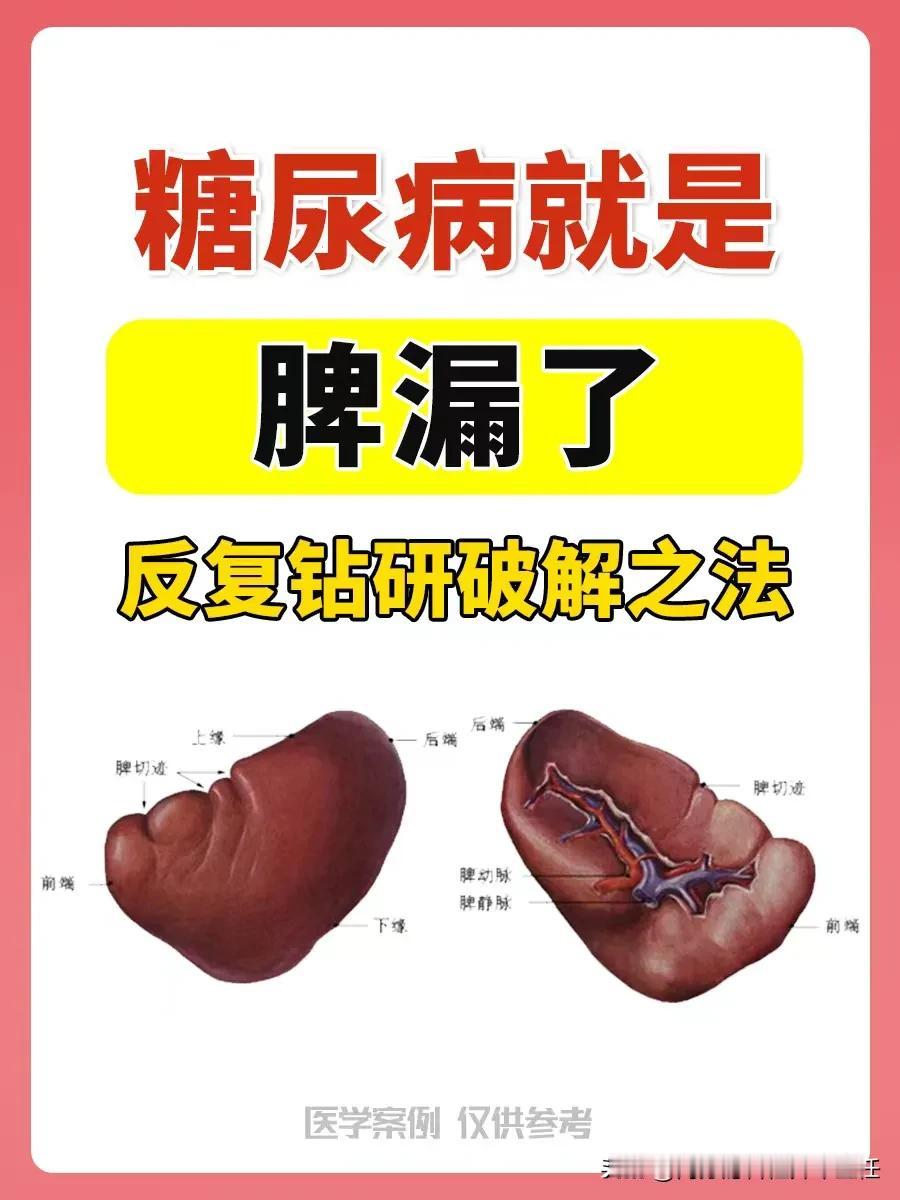 就是脾漏了，健脾益气是关键！血糖 关注糖尿病
