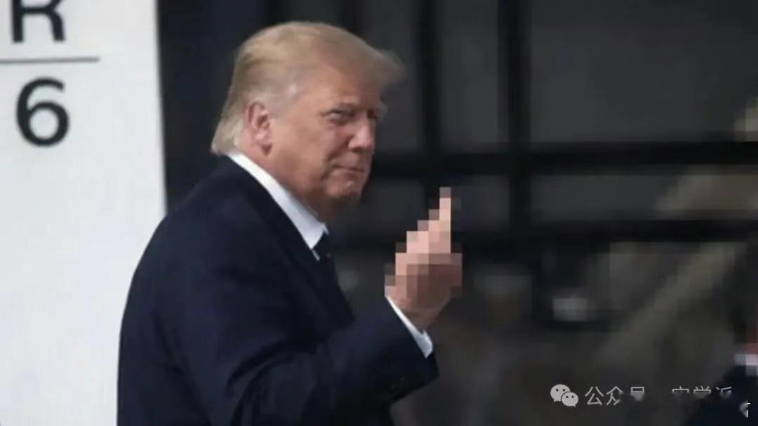 竖中指？全世界的博主都应该感谢特朗普 全世界的博主都应该感谢特朗普。川宝北进格陵