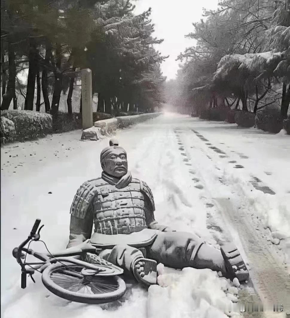 今天这个雪，它属实有点大  #国际庄# #这么近 那么美 周末到河北#