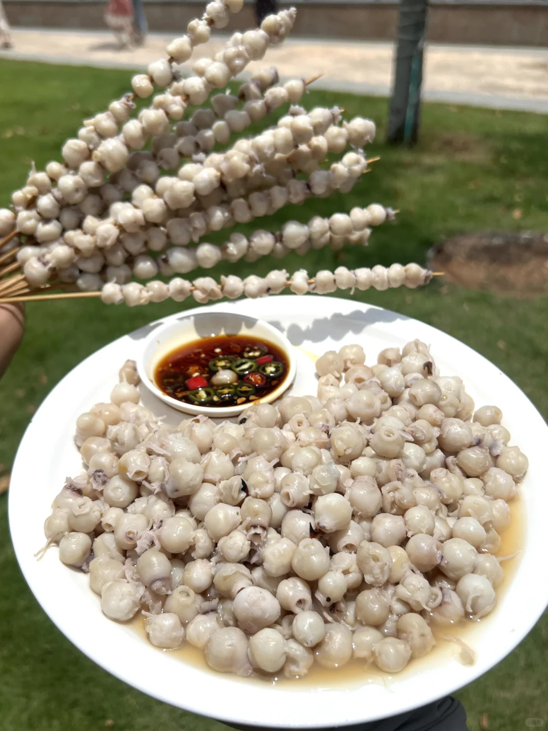 海南你不宣传这个......😅😅😅😅