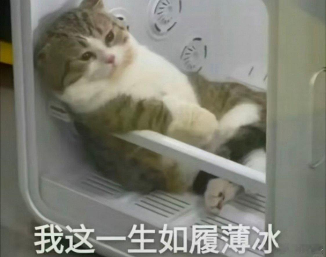 你能接受新手机发布后多久降价 不管多久，我都能接受。唯一不能接受的是刚买最新款，