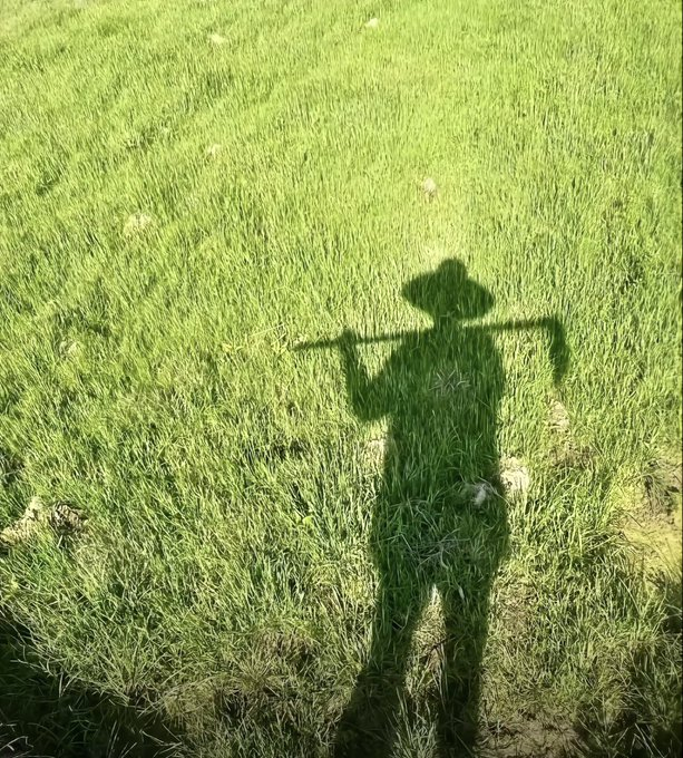 上午吃三文鱼 下午打高尔夫 我的日常罢了 ​​​