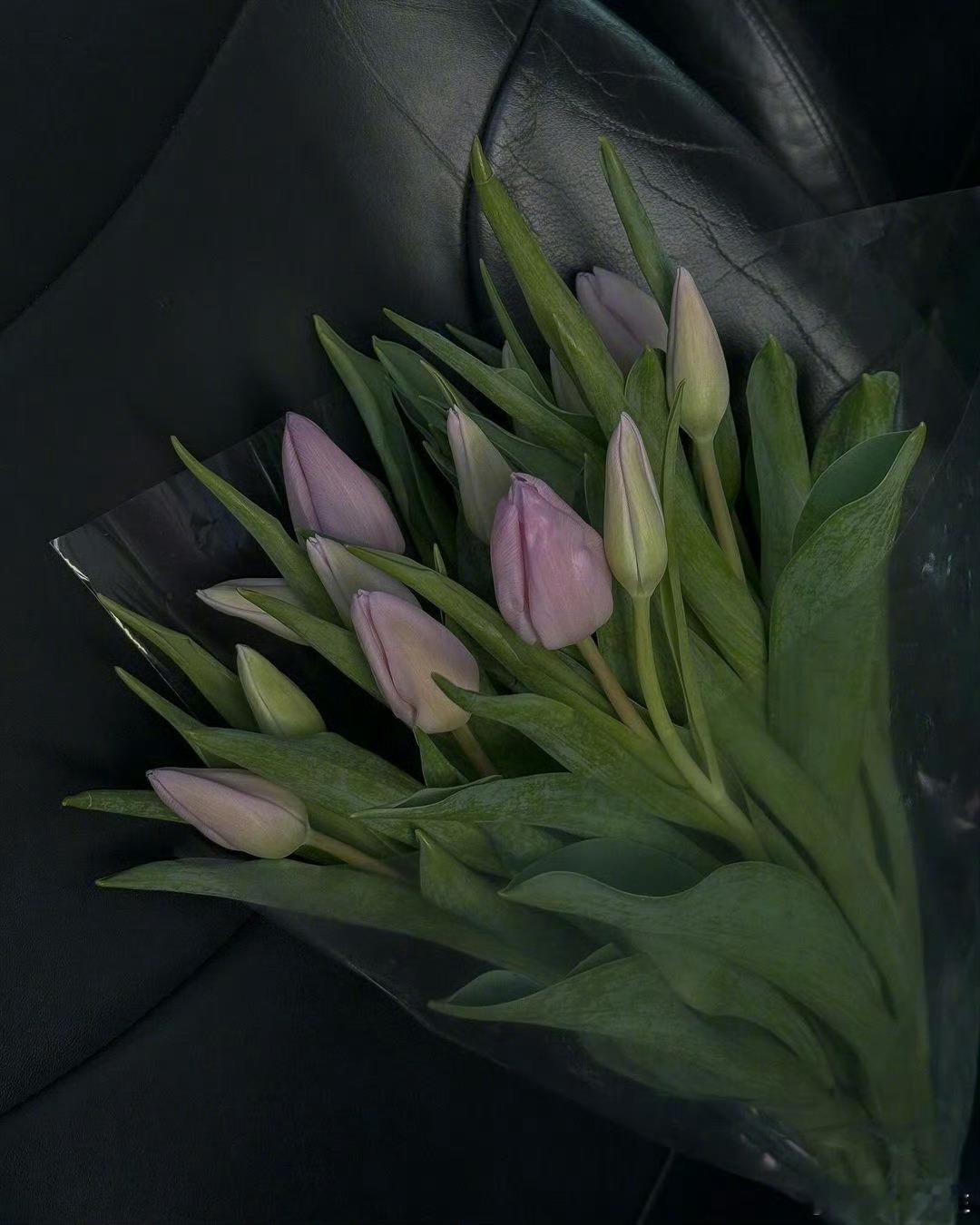 “带一束花去见想见的人”🌷  
