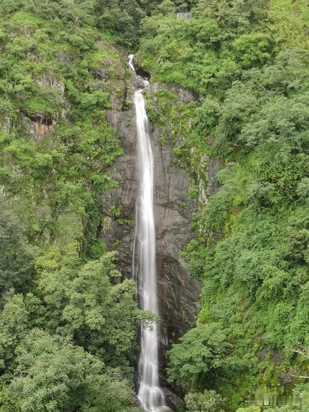 观玉龙瀑布
青崖百丈似琴张，万缕银丝待我弹。
欲抚高山流水曲，知音不见上灵山。