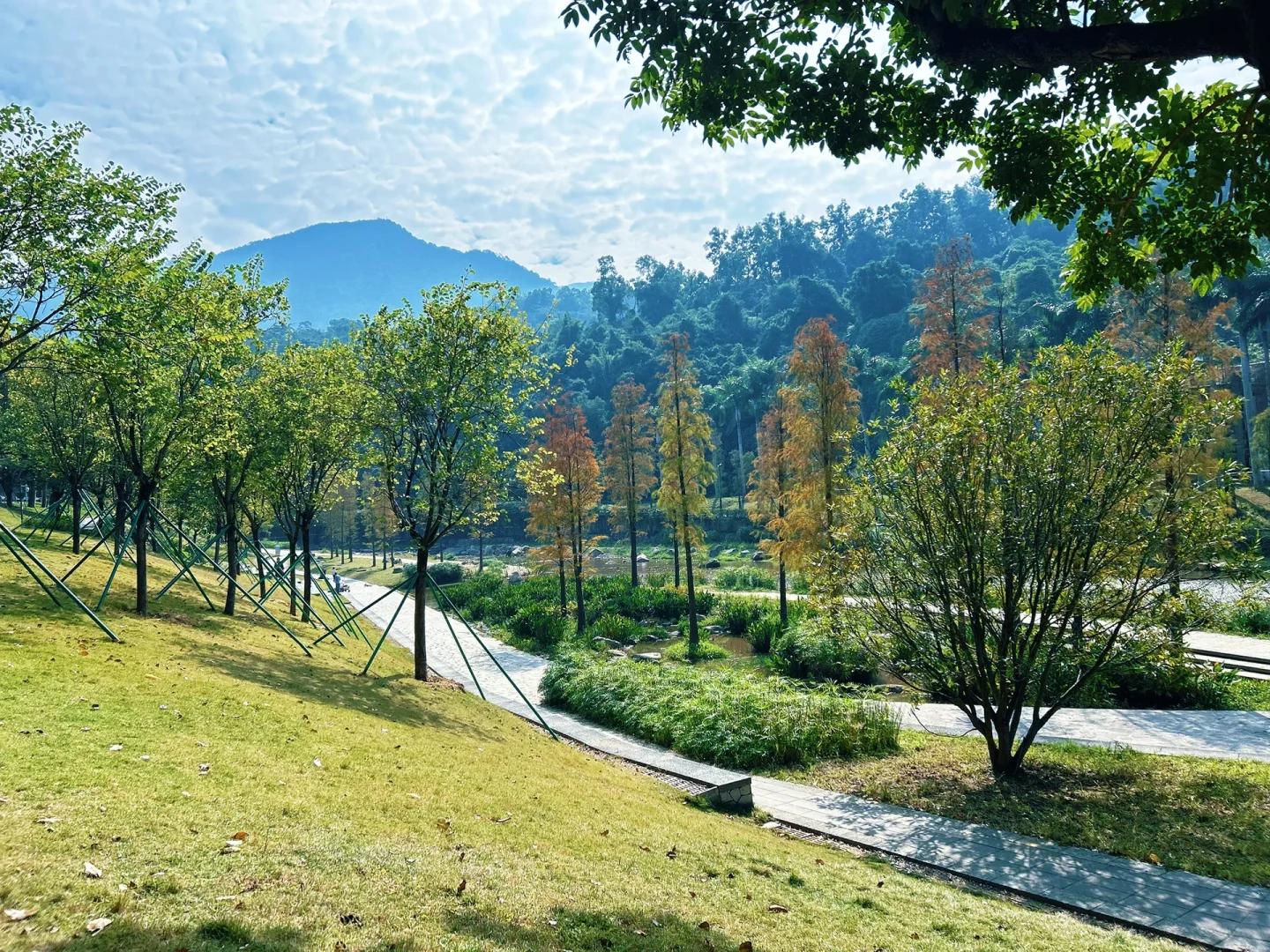 梧桐山脚下，隐藏在城市的美景。