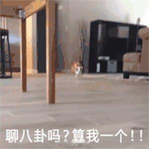 刚刚在机场厕所，隔壁间门坏了出不来了，一直在敲门[允悲]还有5分钟登机了，感觉那