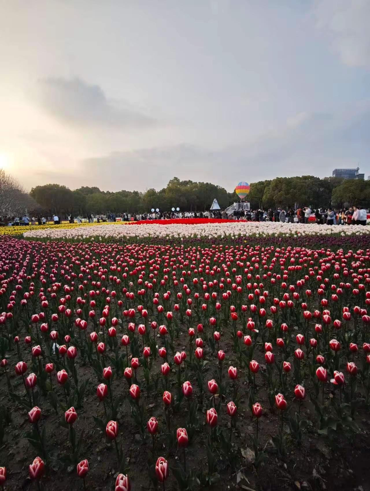 不用门票，唯一的缺点就是周末人太多～😄