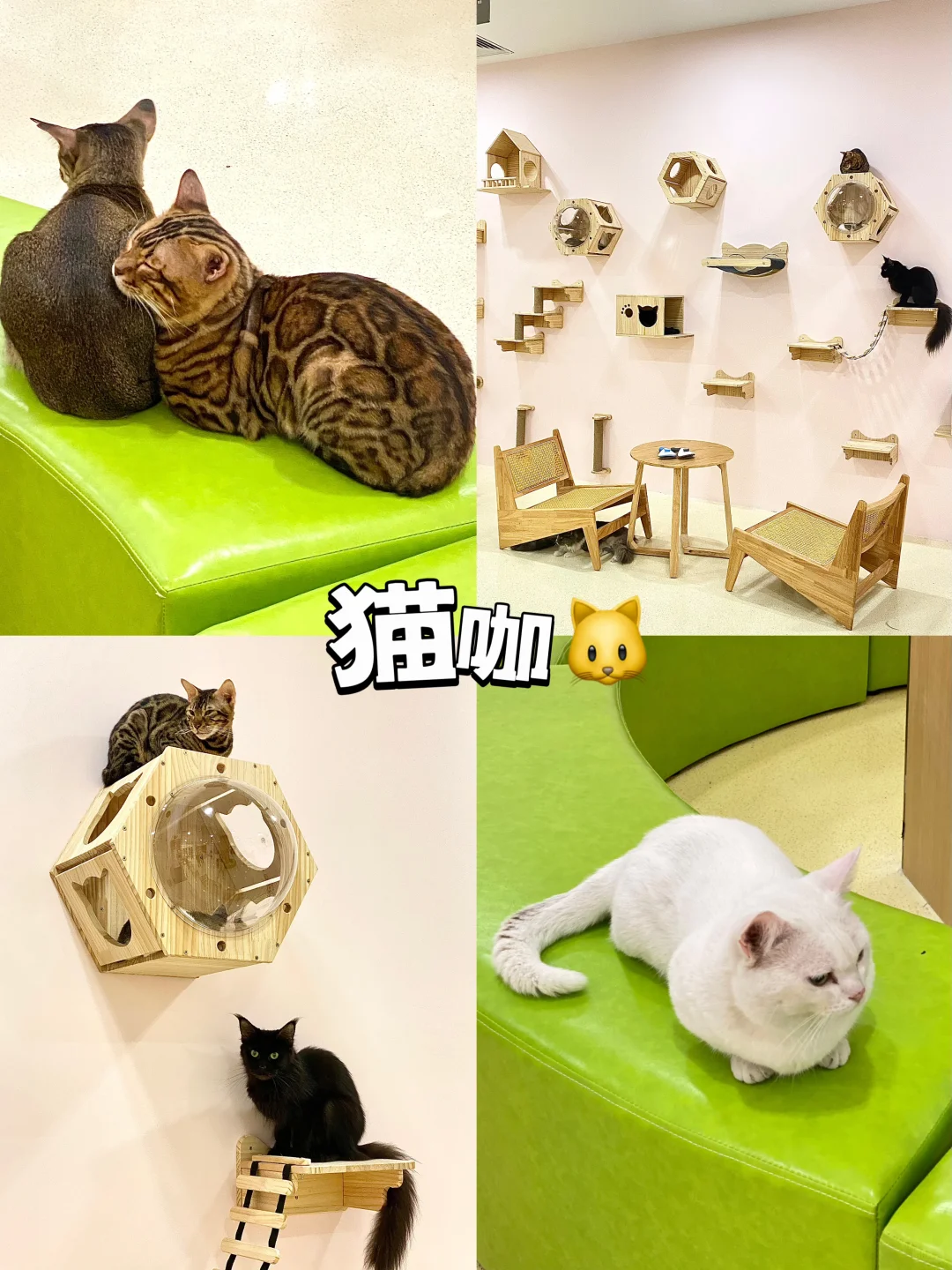 河源…中…中骏…这是中骏世界城？