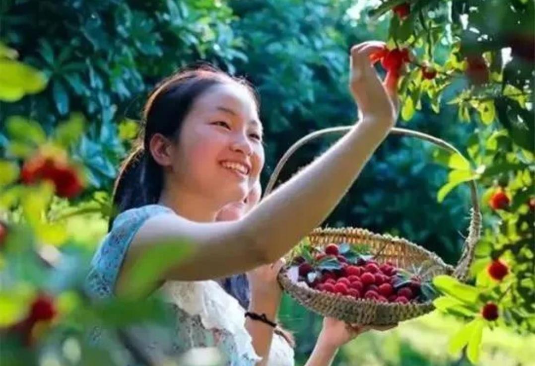 望梅止渴？不，我选择“吃梅撑饱”，嘴巴被杨梅染红，快乐被酸甜填满，今天直接为多巴