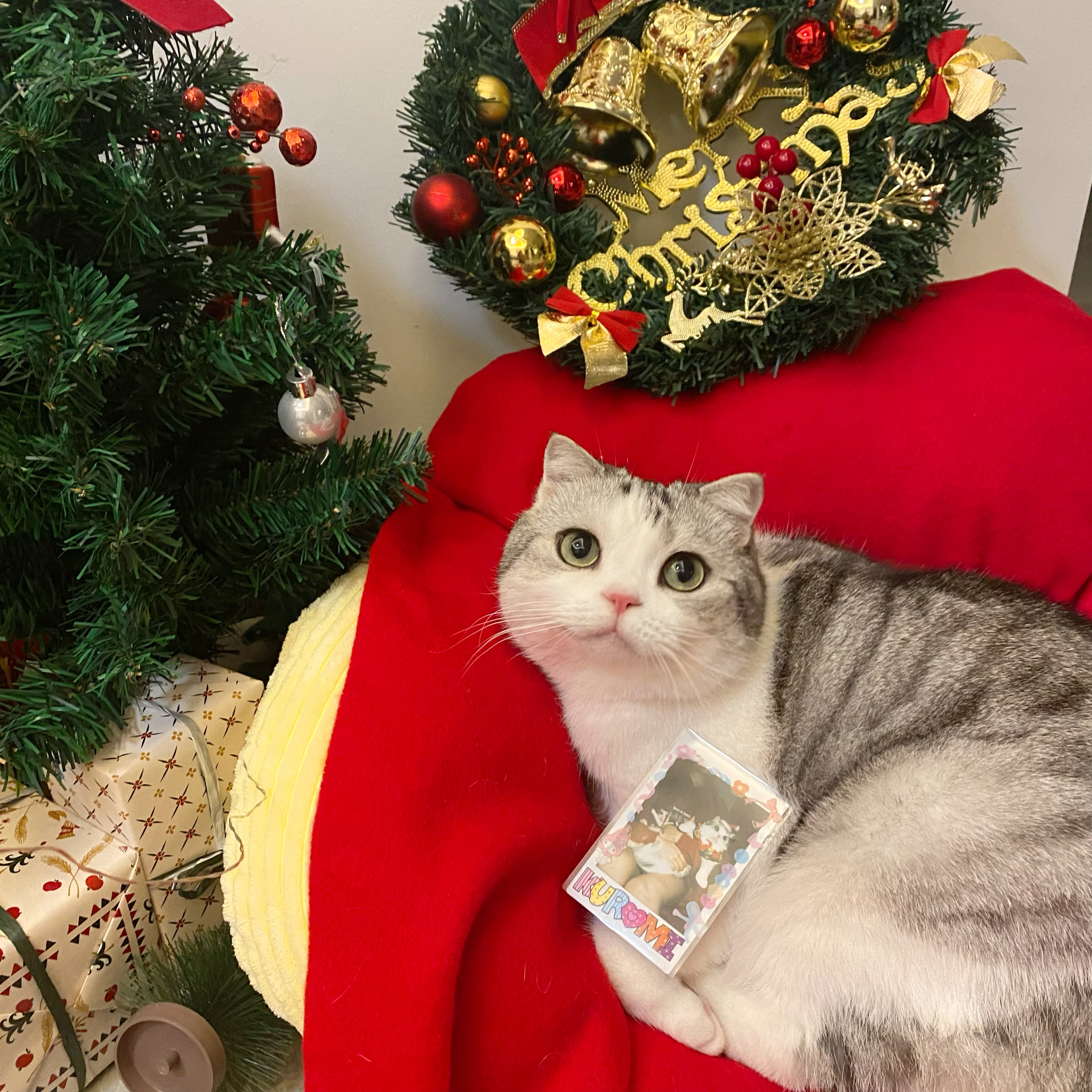 还没加vx群的小伙伴多不多呀，已经2年多没有开新群了，之前的几个群大都满人了，想