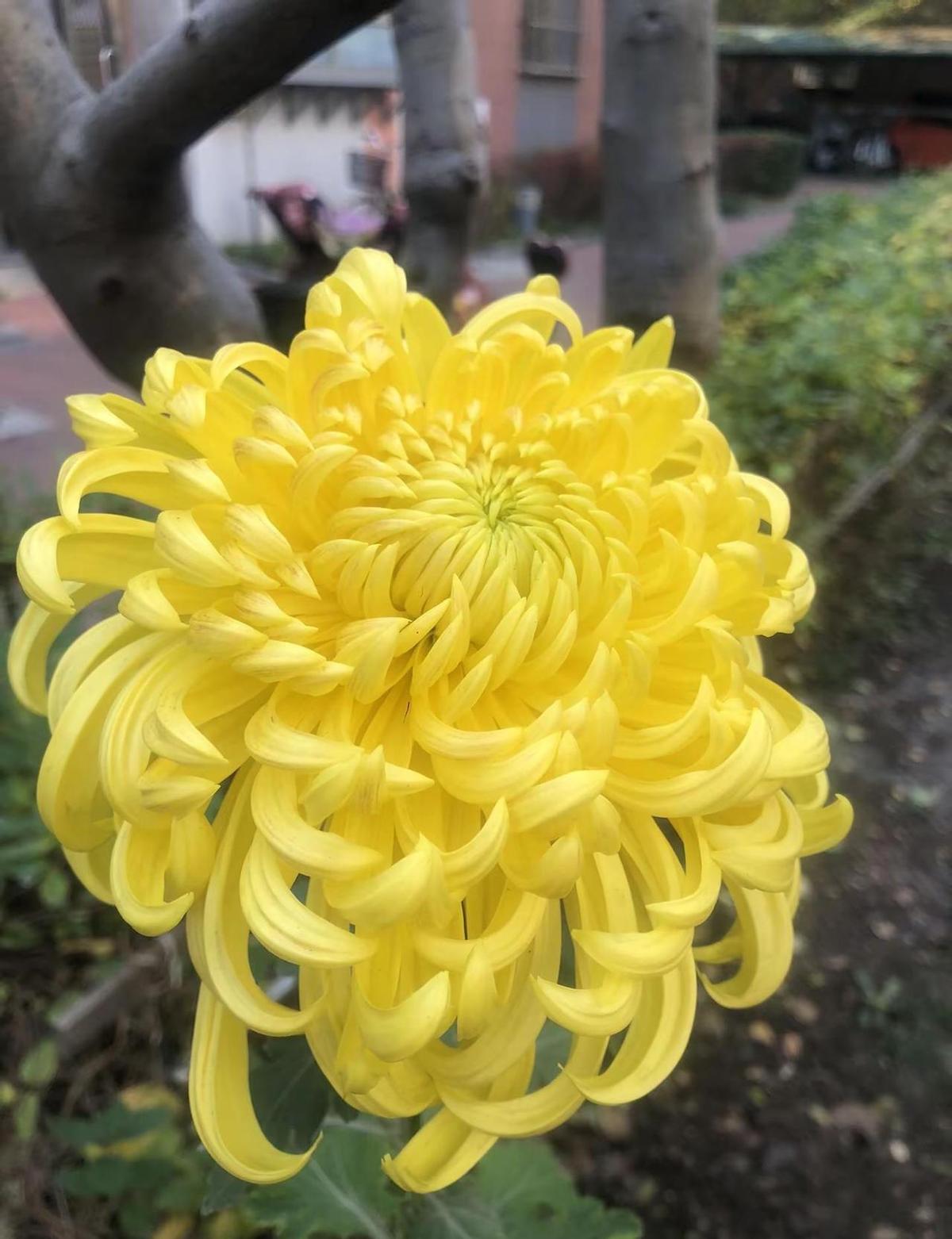 爱了扣一，不爱扣二，这年头连情绪都得点个赞。
镜头一开，生活就成短视频。
猫踩落