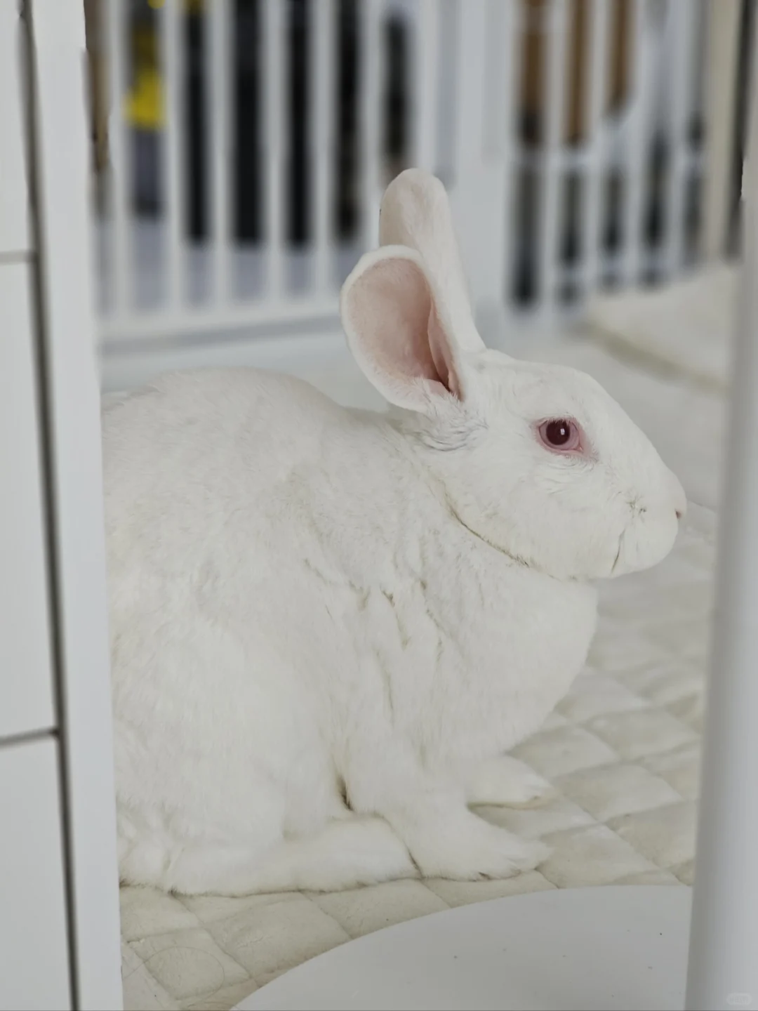 希望夏天快点过去